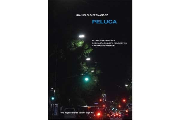 tapa_peluca