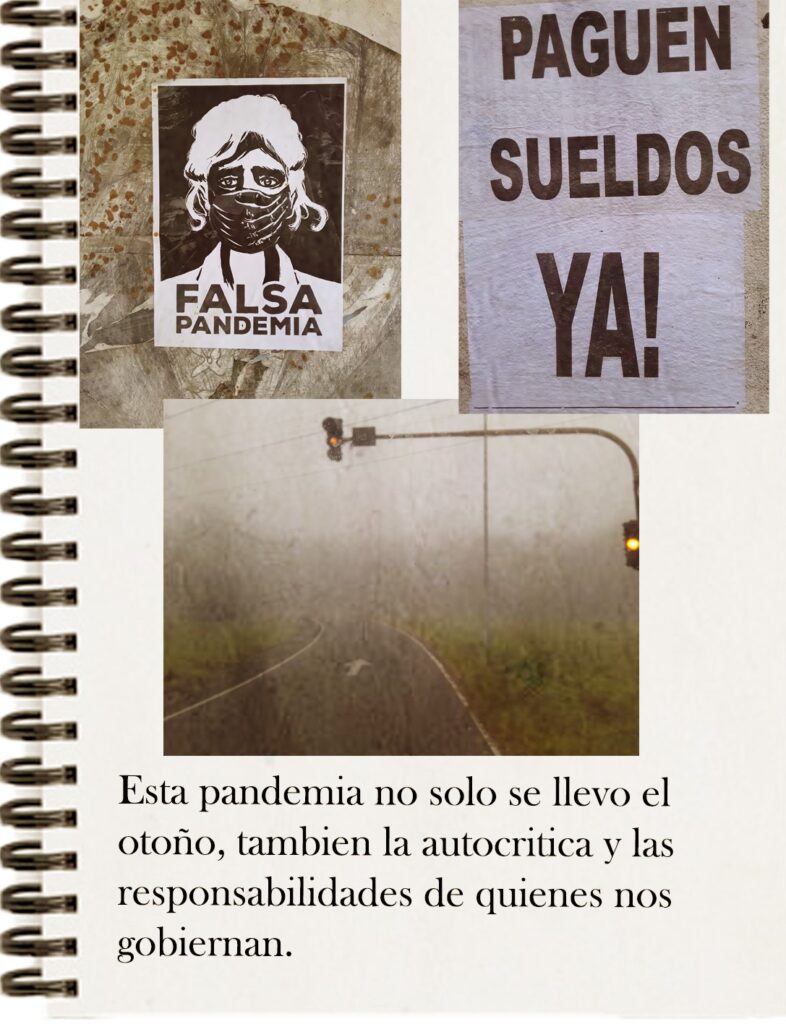 <span style='font-size:28px;'>Entrega XXII</span><br> Diario de la Pandemia