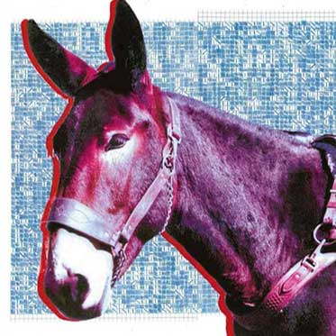 <span style='font-size:28px;'>Discos</span><br> Protomartyr – Ultimate Success Today (2020)