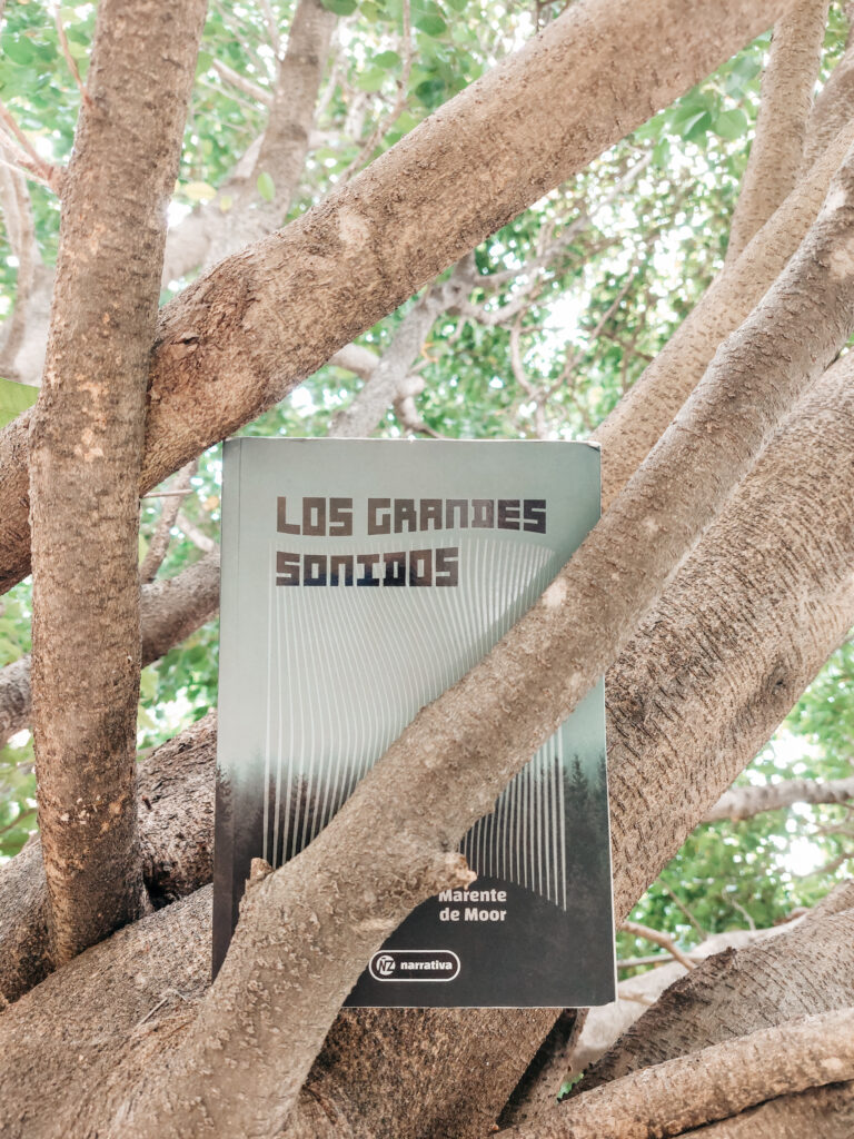<span style='font-size:28px;'>Reseñas - Libros</span><br> Los grandes sonidos- Marente de Moor