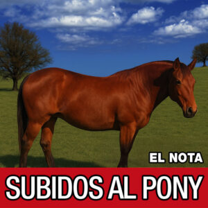 El Nota – Subidos al pony